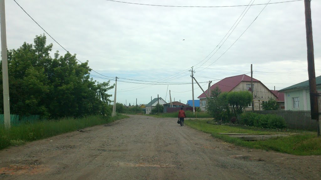 по улице, Тюкалинск