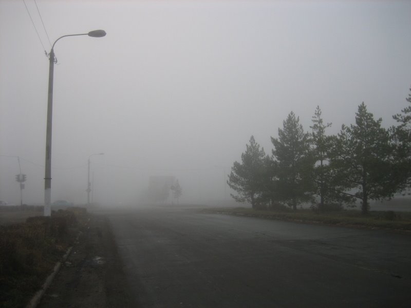 Утренний туман. Morning fog., Гай