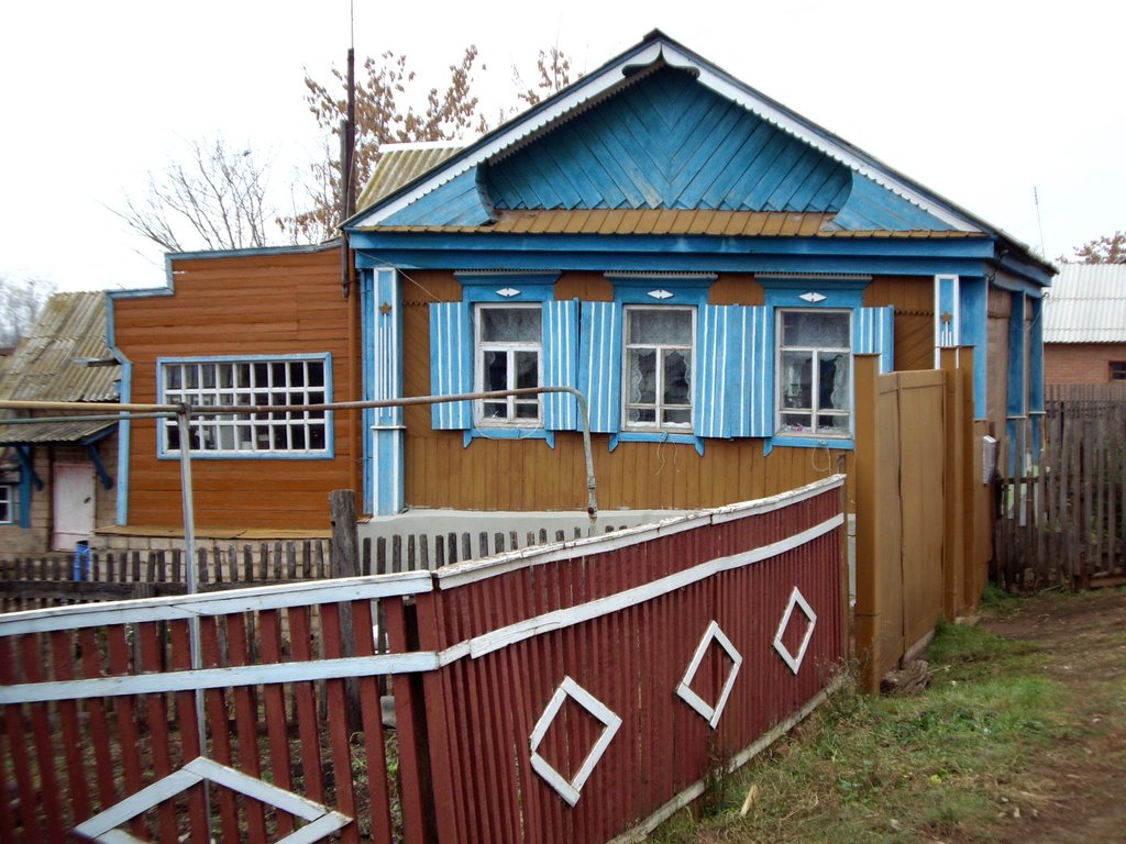 Дом в с.Старосултангулово A House in the Village of Sultangulovo, Матвеевка