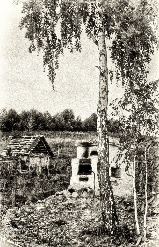 Здесь была деревня Михайловка. 1990г., Матвеевка