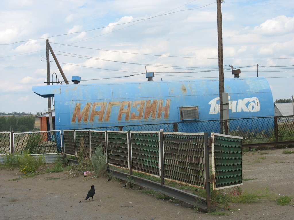Магазин на трассе, Новосергиевка