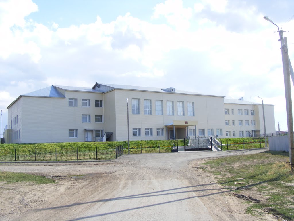 Школа, Новосергиевка
