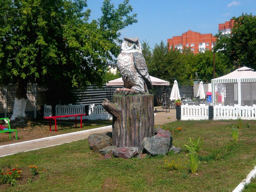 Сова / Owl, Оренбург