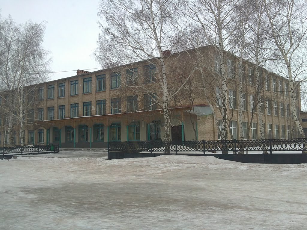Пономаревская средняя школа, Пономаревка