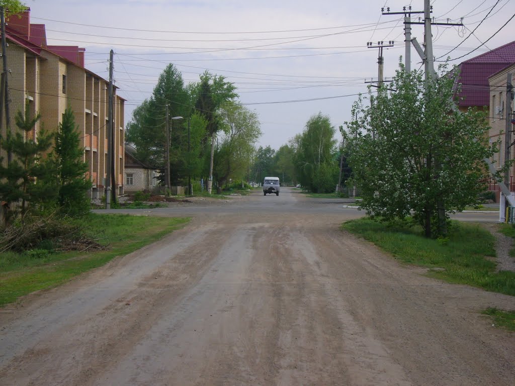 улица Советская, Саракташ