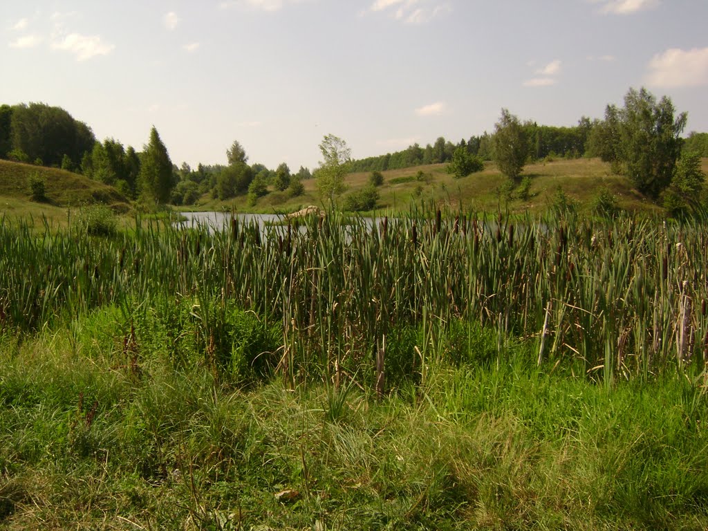 Ямской пруд, Болхов