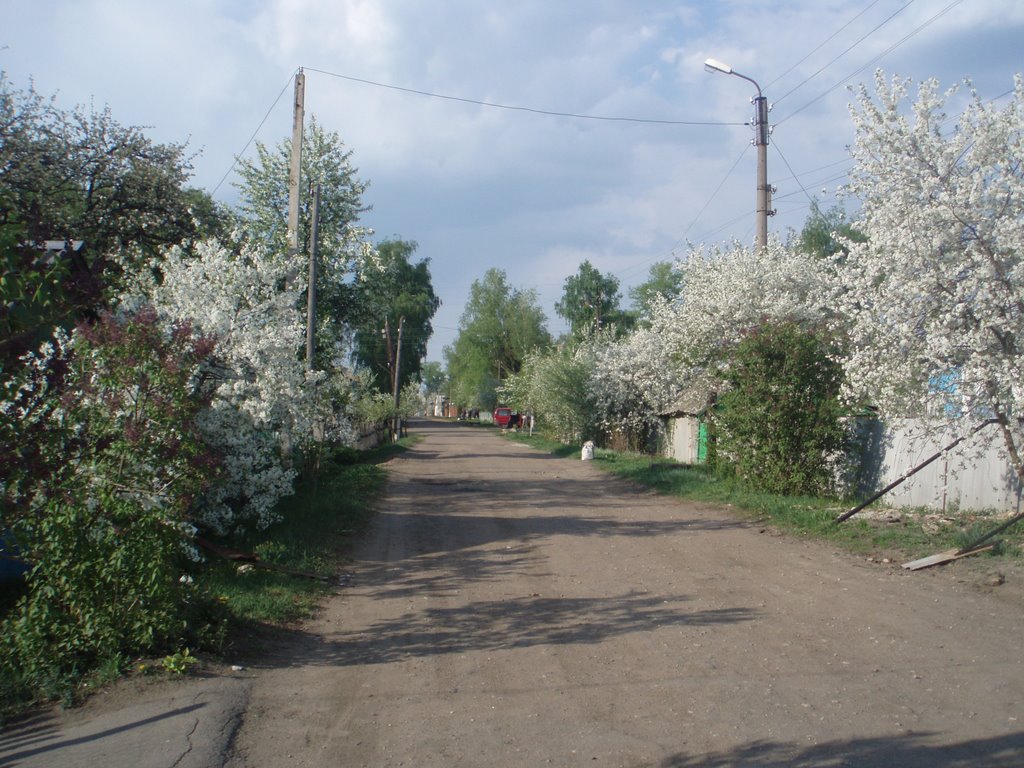 Весна на ул. Чапаева, Верховье