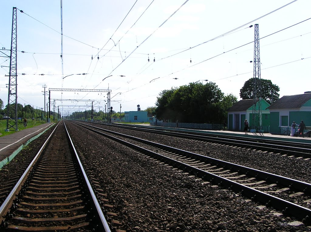 На путях возле вокзала (On the tracks near the station), Глазуновка