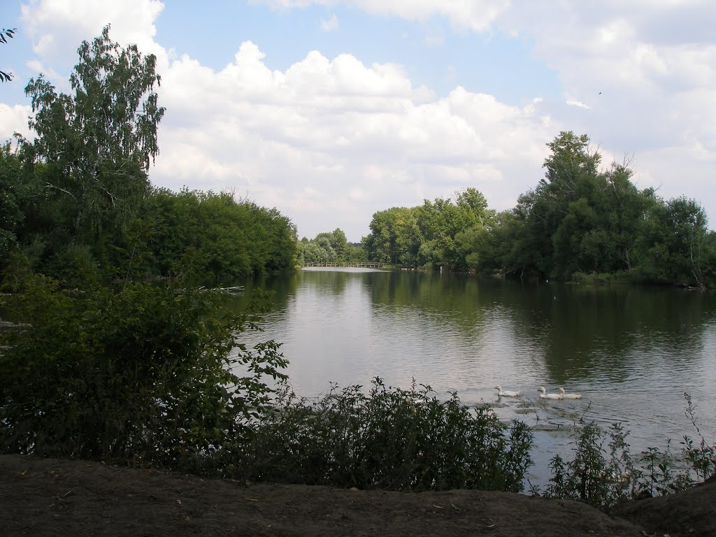 Михайловский пруд, Долгое