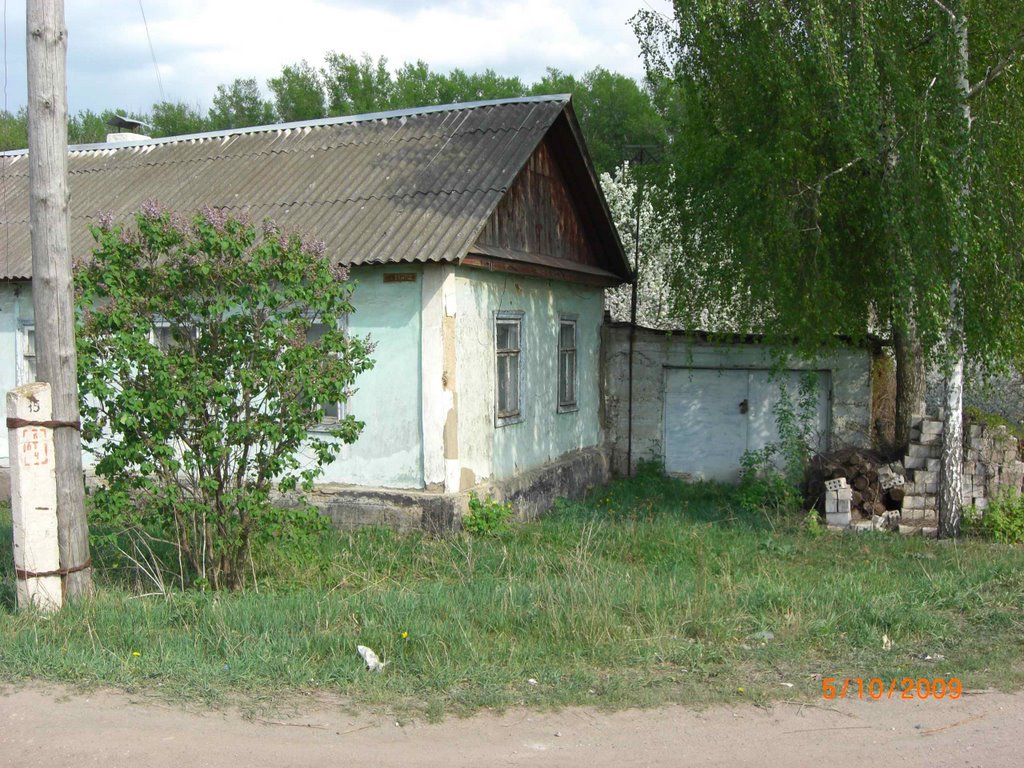 The simple house, Ливны