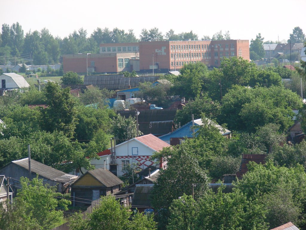 Школа № 2 с крыши больницы, Башмаково