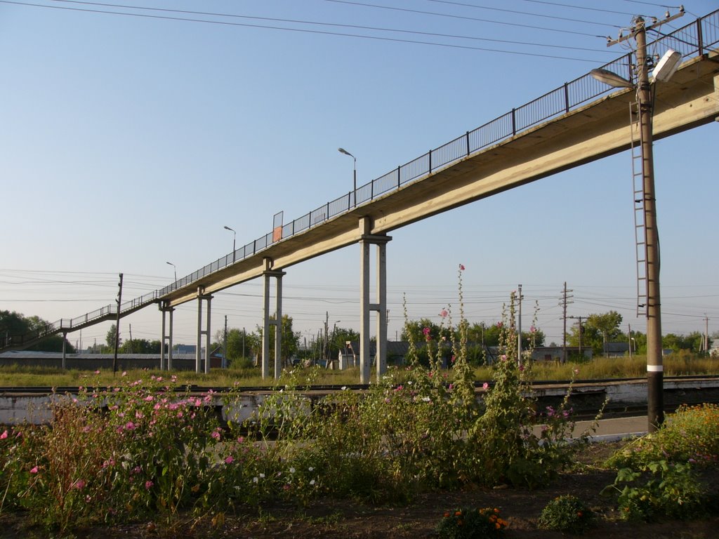 Мост через железнодорожные пути, Башмаково