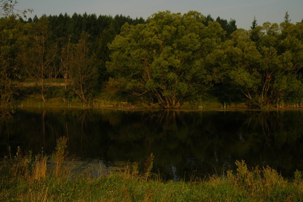 Old Pond, Башмаково