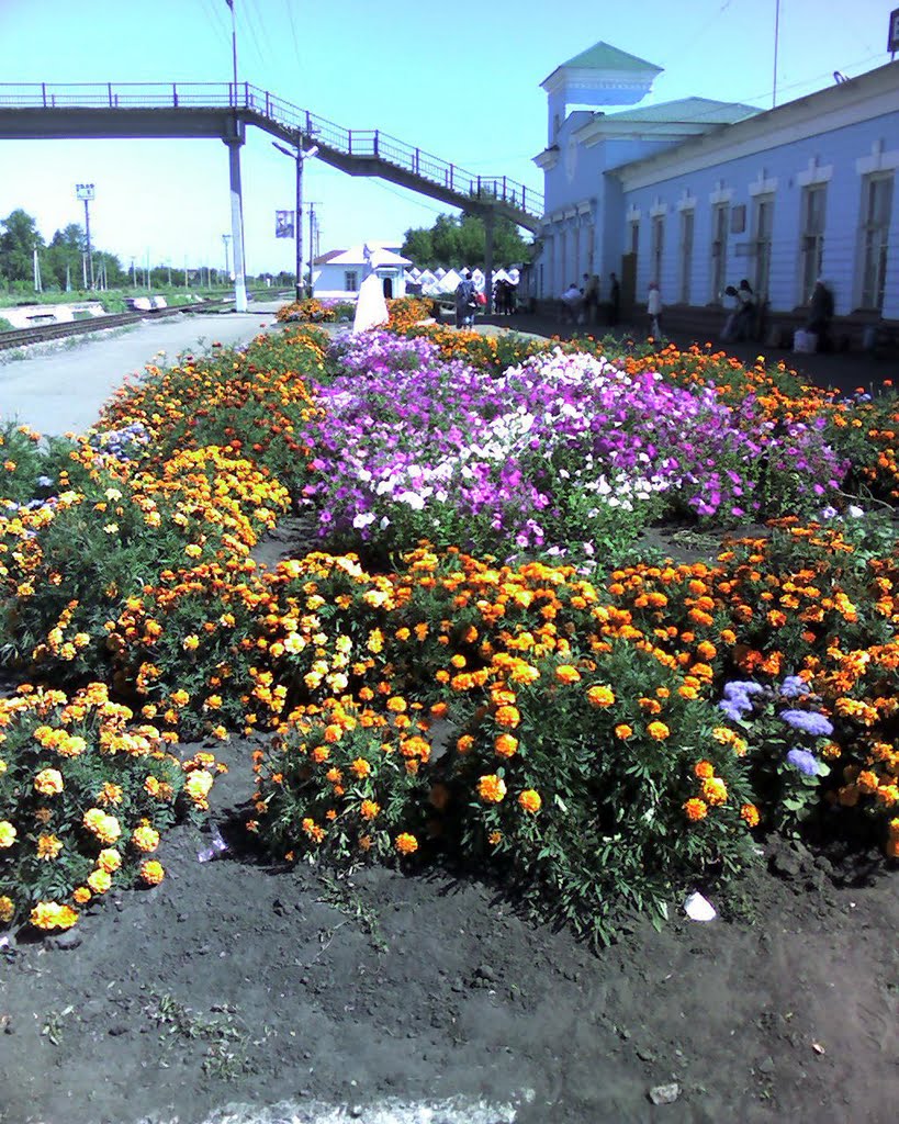 Вокзал в Башмаково, Башмаково