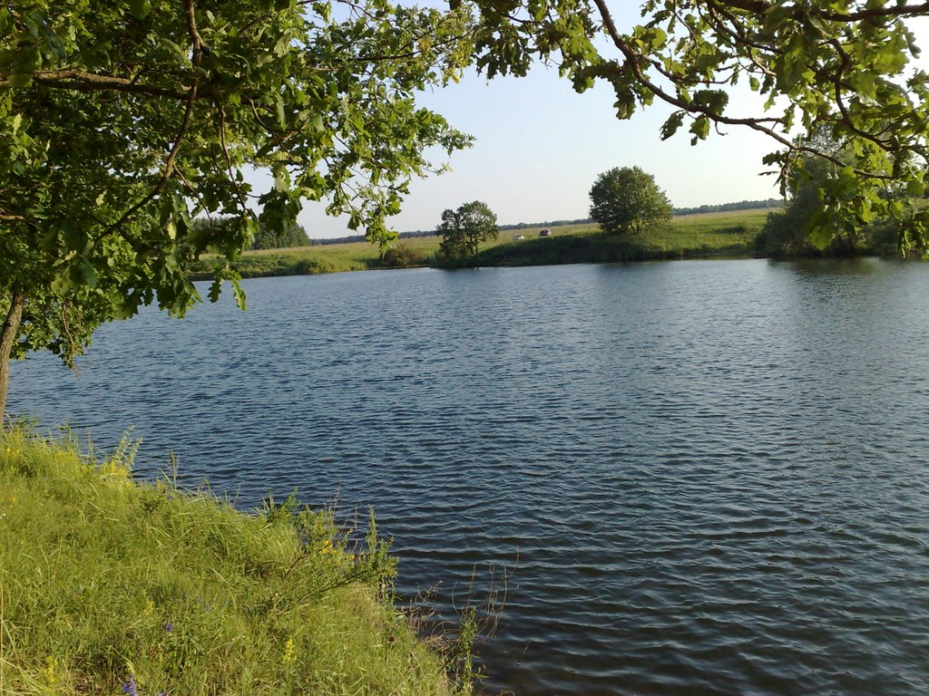 Сяськинский пруд, Белинский