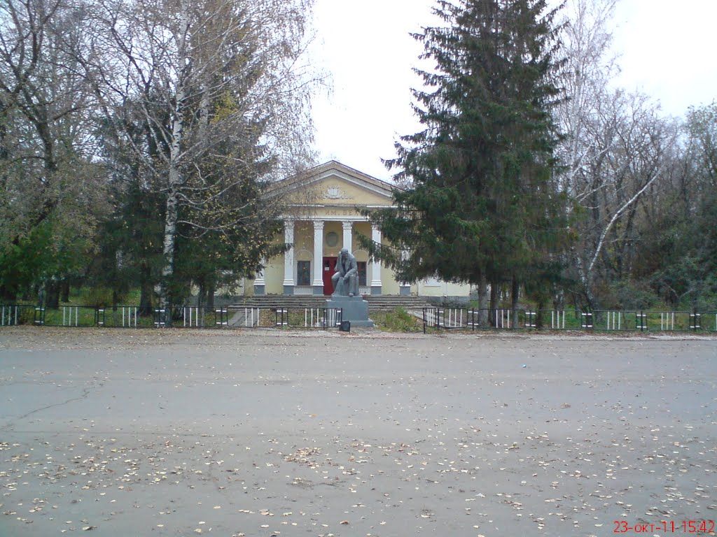 Библиотека имени В.Г. Белинского, Белинский