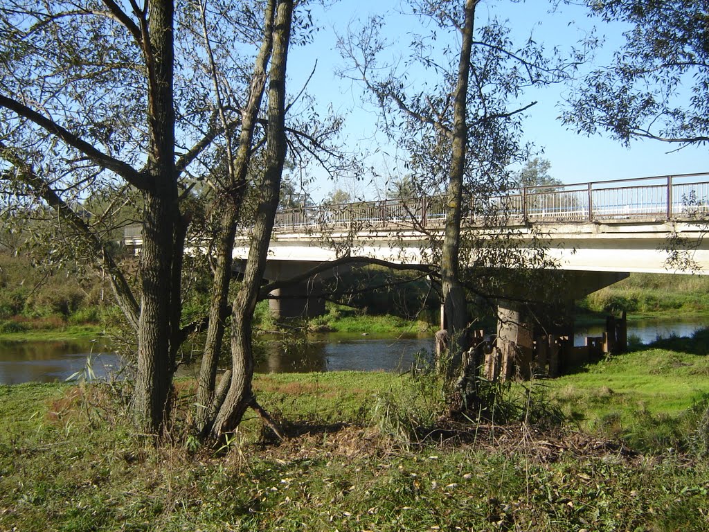 Мост, Вадинск