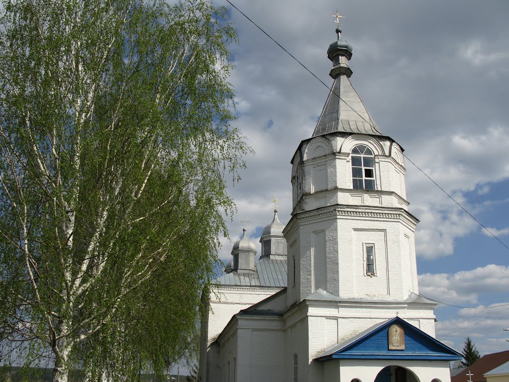 Михайло-Архангельский храм., Вадинск