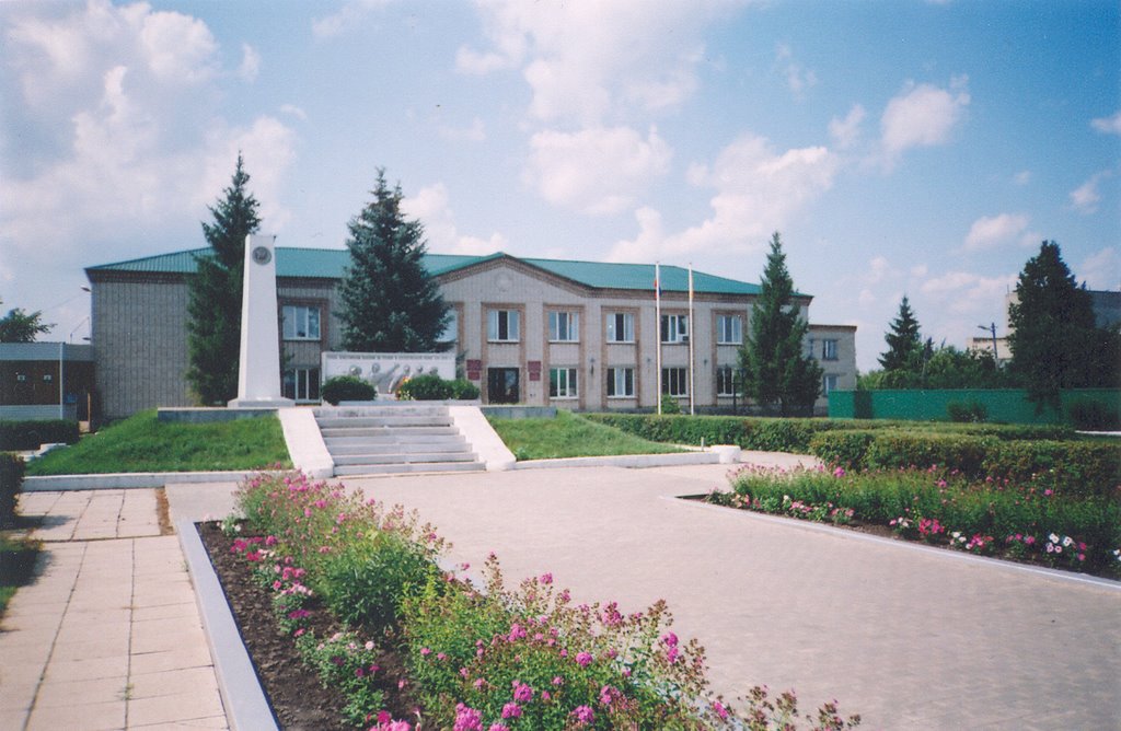 District government, Земетчино