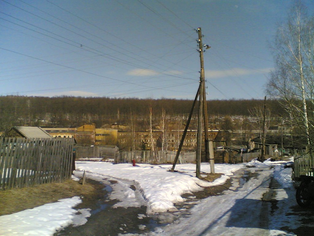 Вид на фабрику с улици Красная, Золотаревка