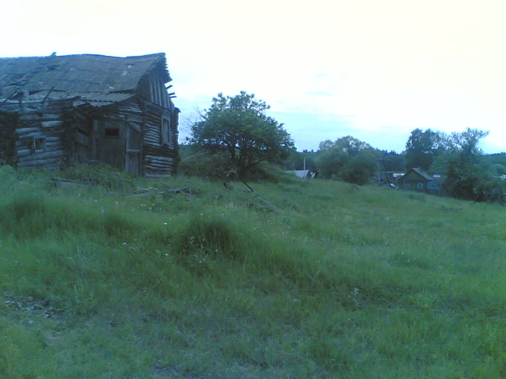 старый дом, Золотаревка
