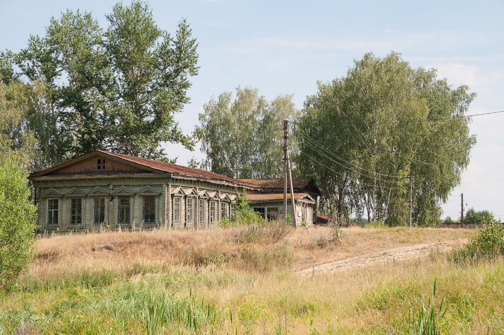 Бывшая участковая больница, Золотаревка