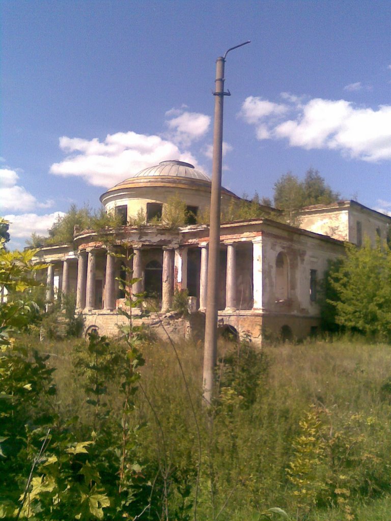 Дом Воейкова, Каменка