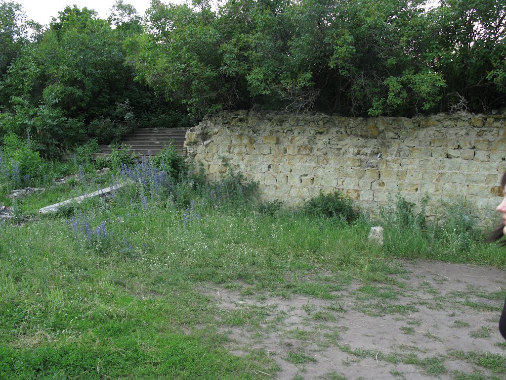 Забор усадьбы, Каменка