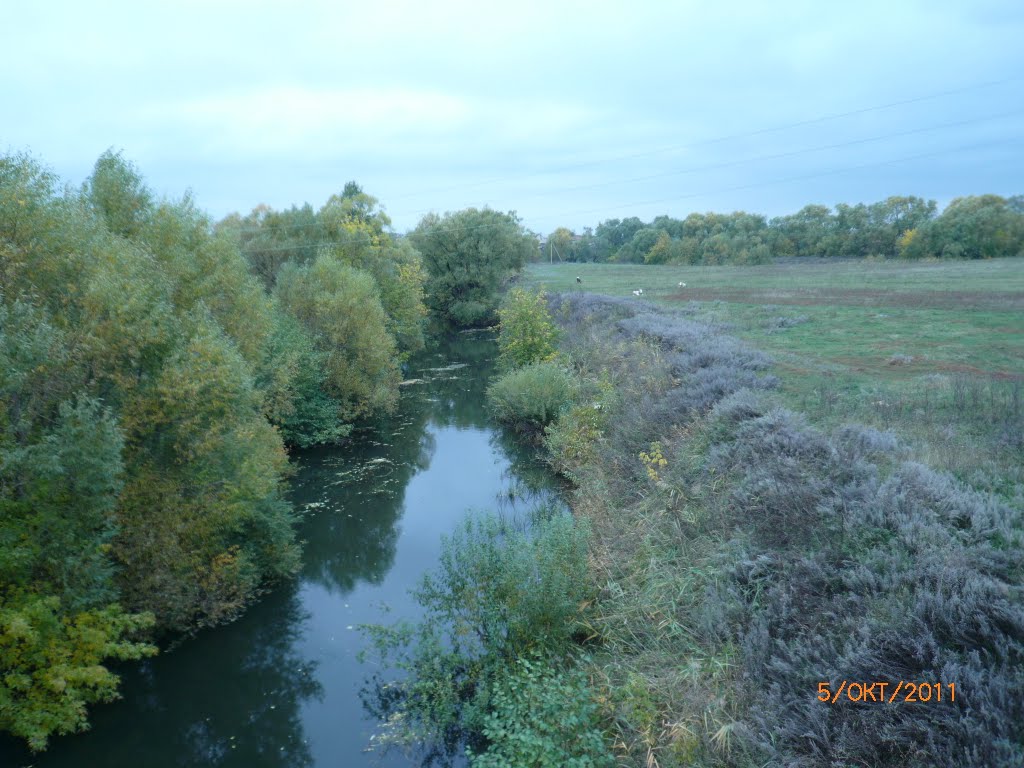 река Сердоба, Малая Сердоба