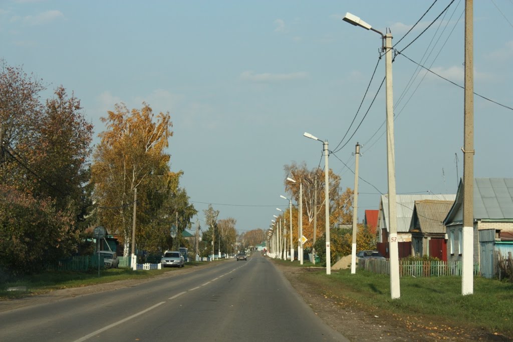 Сельская улочка, Наровчат