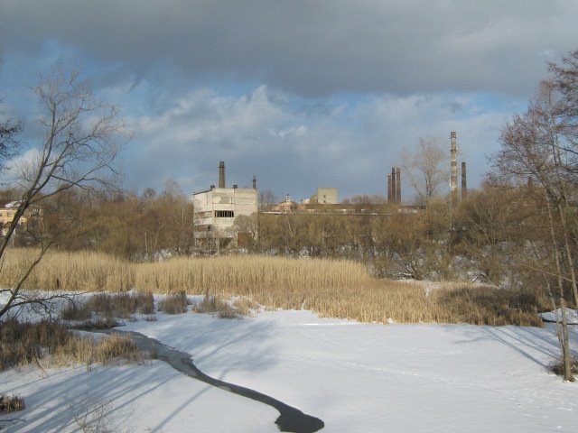 Бывший завод "Красный Гигант", Никольск