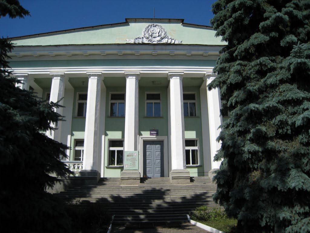 Детская музыкальная школа, 2009 год, Сердобск