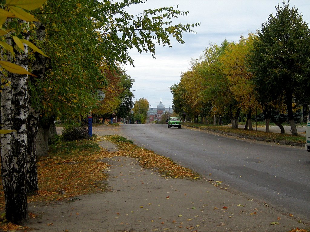 Улицы родного города, Сердобск