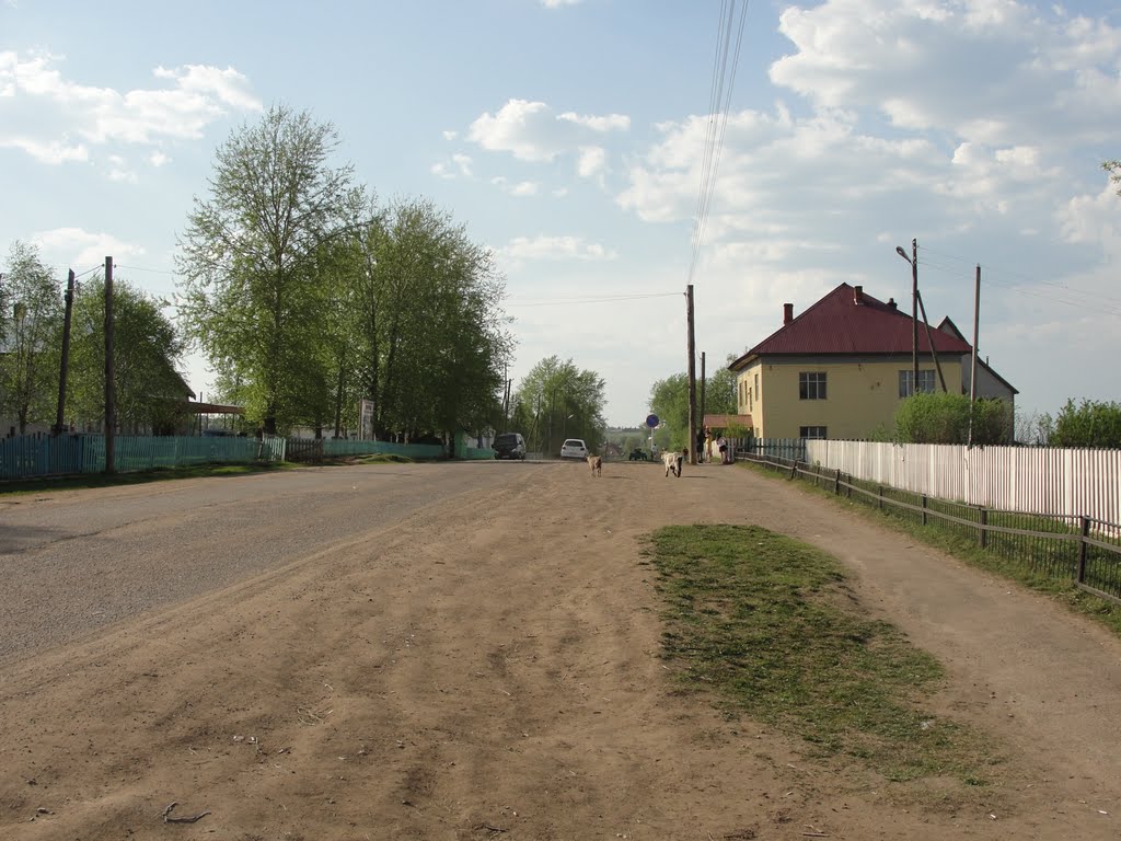 Гайны пермский край фото Гайны пермский край фото