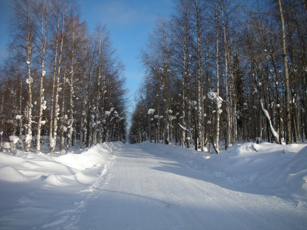 Гремячинск, городской парк зимой, Гремячинск