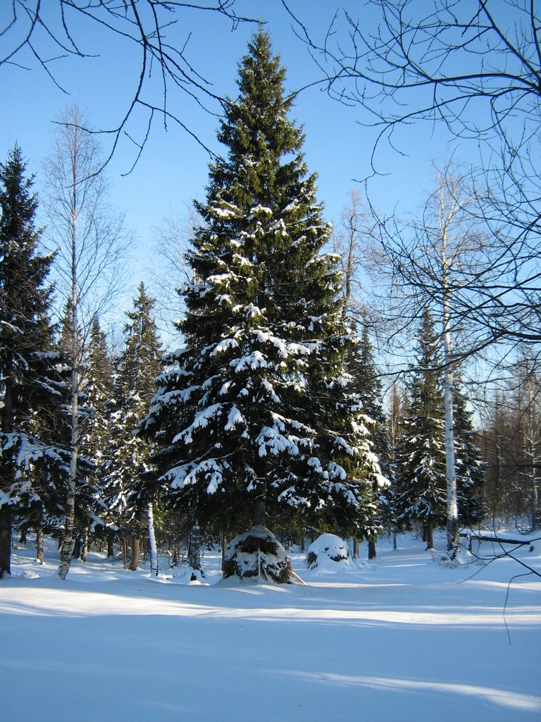 Гремячинск, за городским парком, Гремячинск