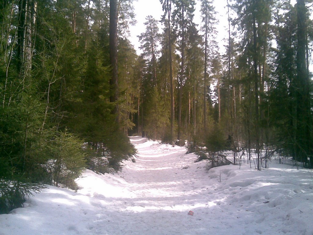 Парк зимой, Добрянка