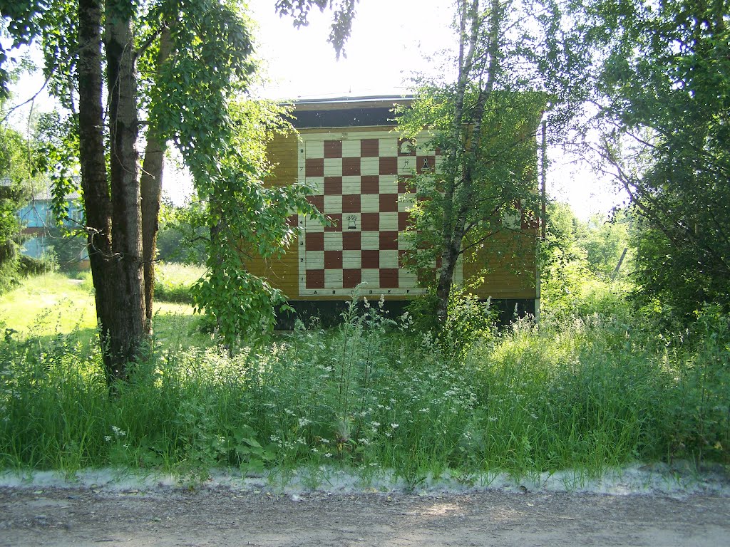 Шахматная доска на канторе, Керчевский