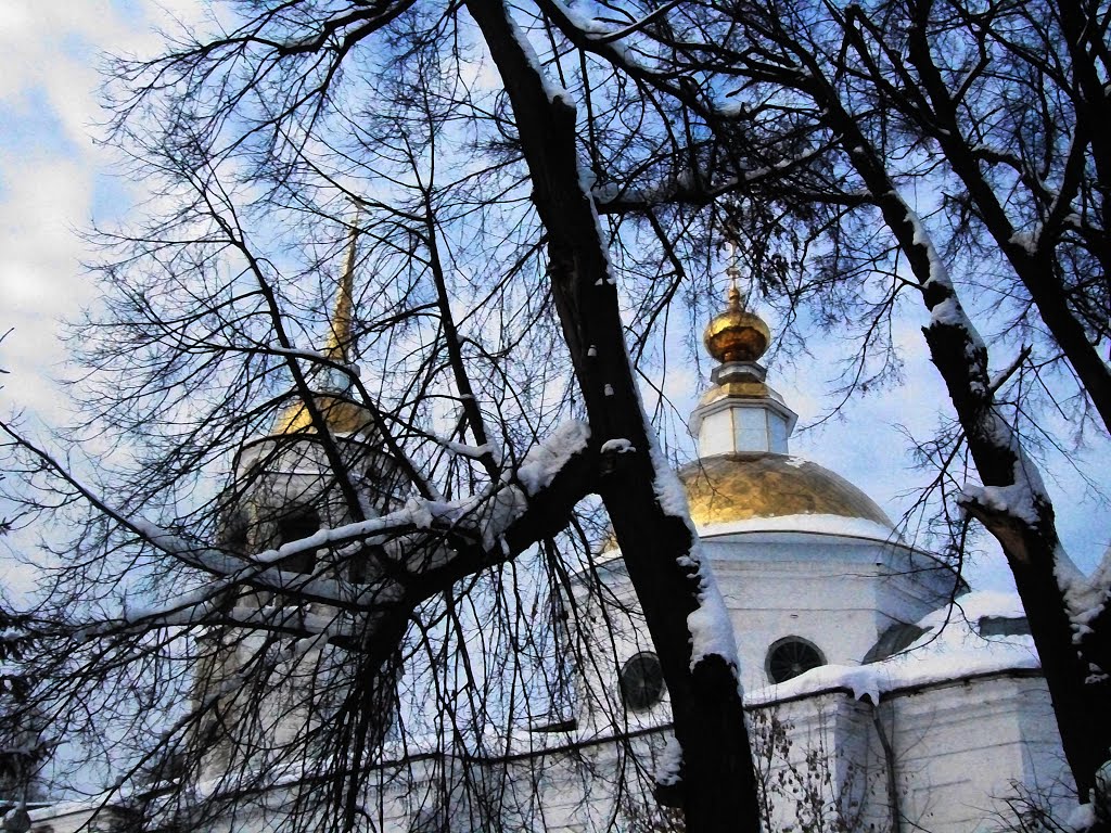 Купола Никольской церкови в Кудымкаре., Кудымкар