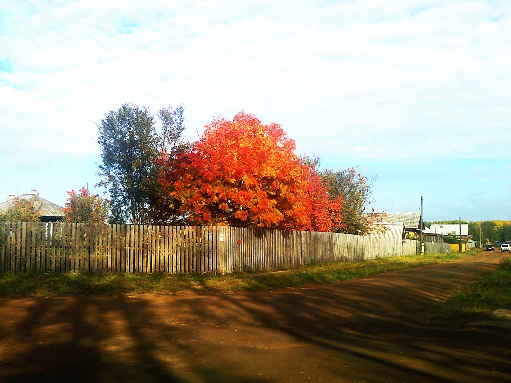 Осенние краски...., Кудымкар