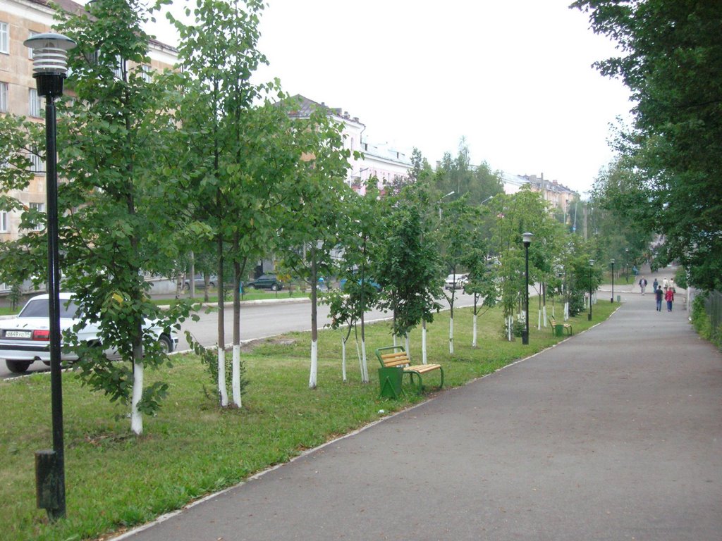 File:Lenina street-ул. Ленина - panoramio.jpg - Wikimedia Commons