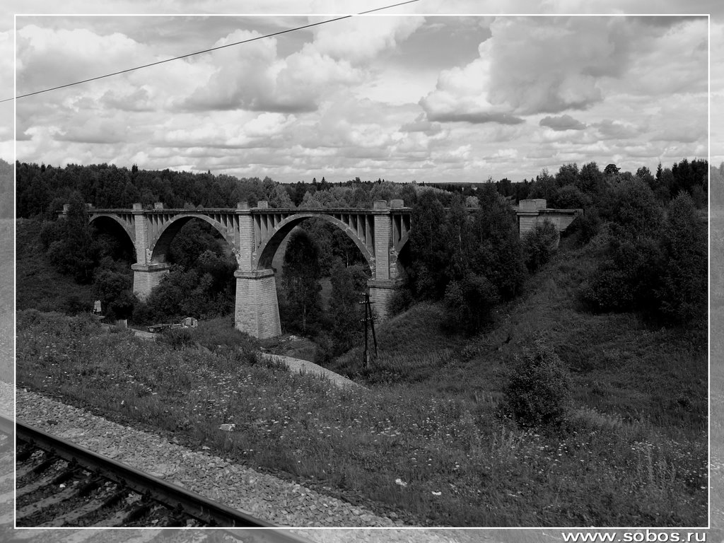 E3270027_Zabroshenny_viaduk_u_Bartyma__Abandoned_Viaduct_at_Bartym.jpg, Октябрьский
