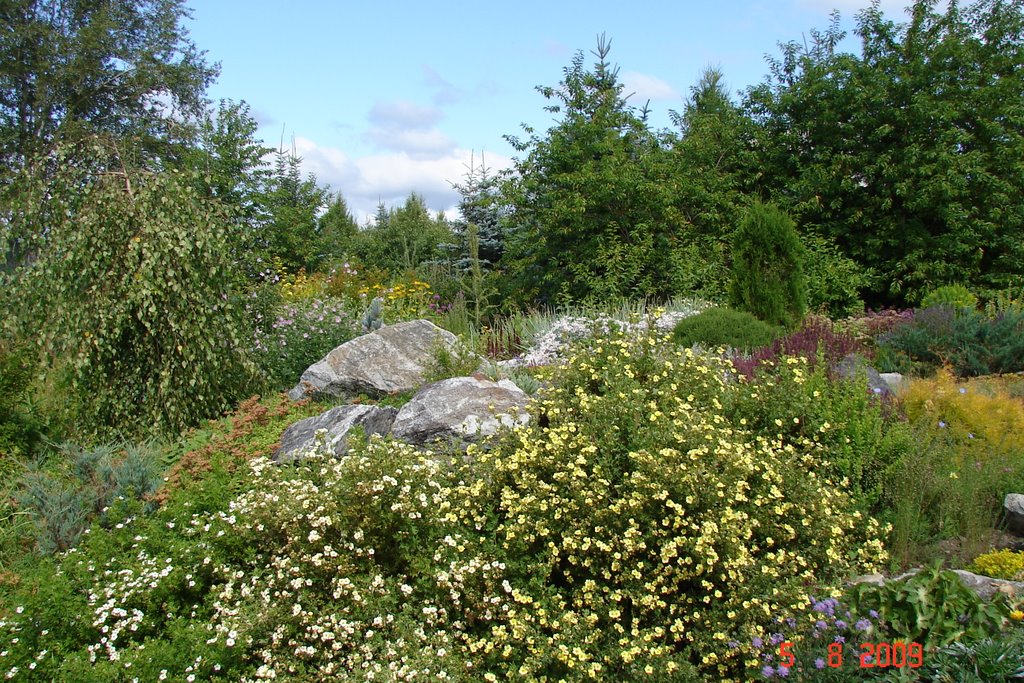 Ботанический сад соликамск фото Ботанический сад соликамск фото
