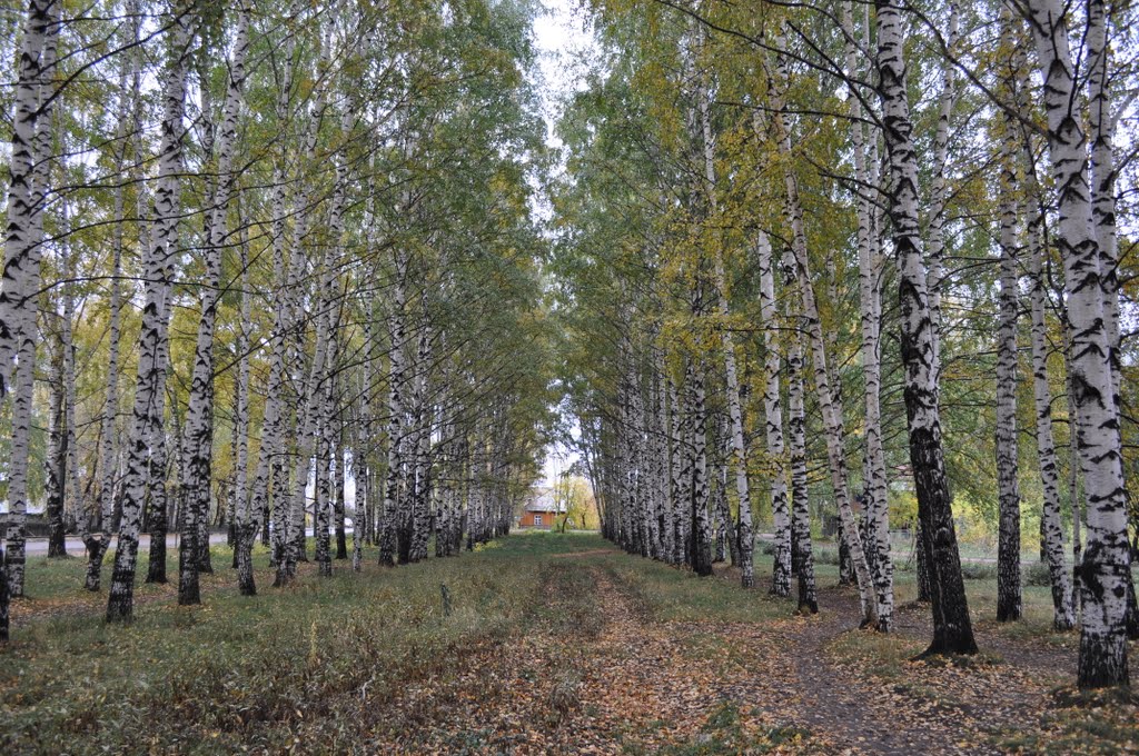 Деревня березовая пермский край фото Деревня березовая пермский край фото