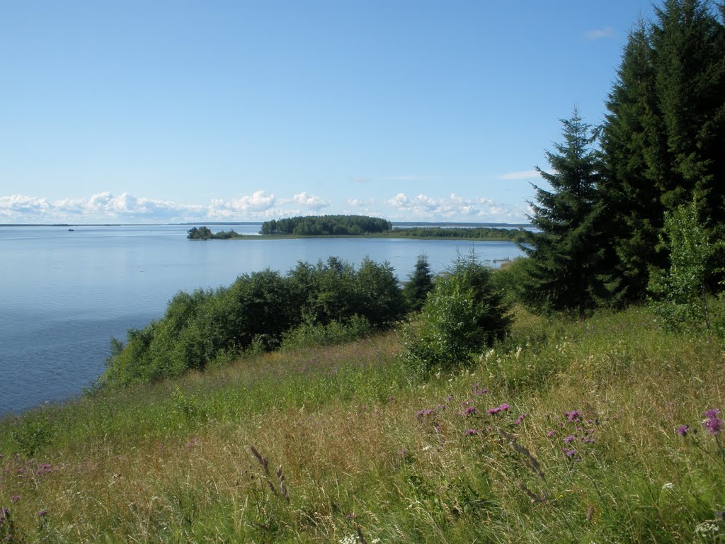 Вид на Степковский остров, Чернореченский