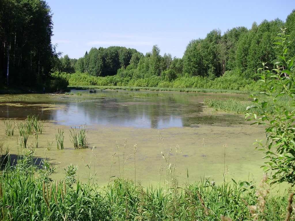 Рукотворное озеро на Степковке, Чернореченский