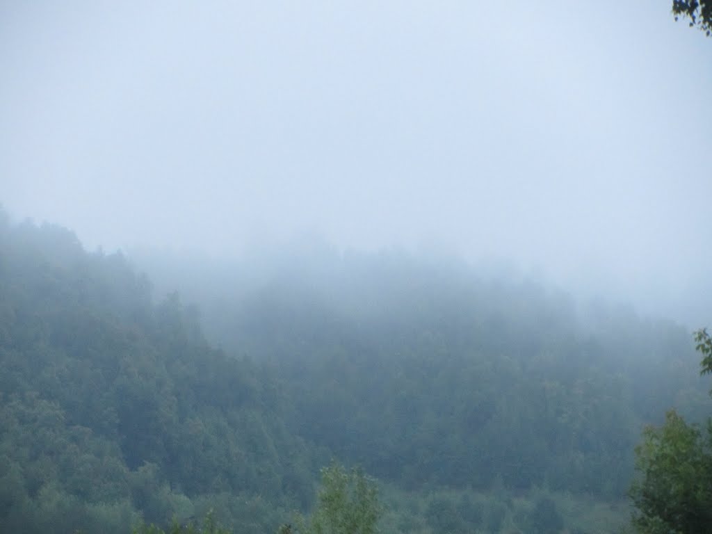 Туман, Чусовой