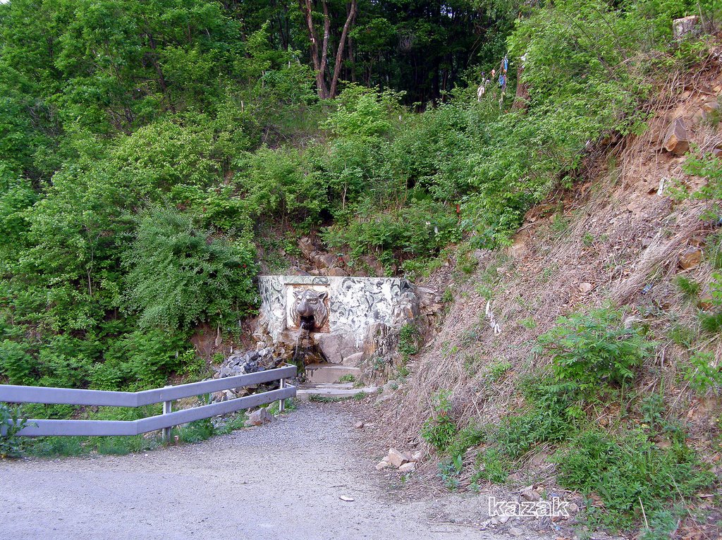 Анучино фото YugNash.ru