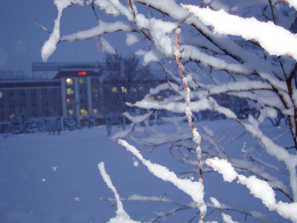 snowfall, Арсеньев