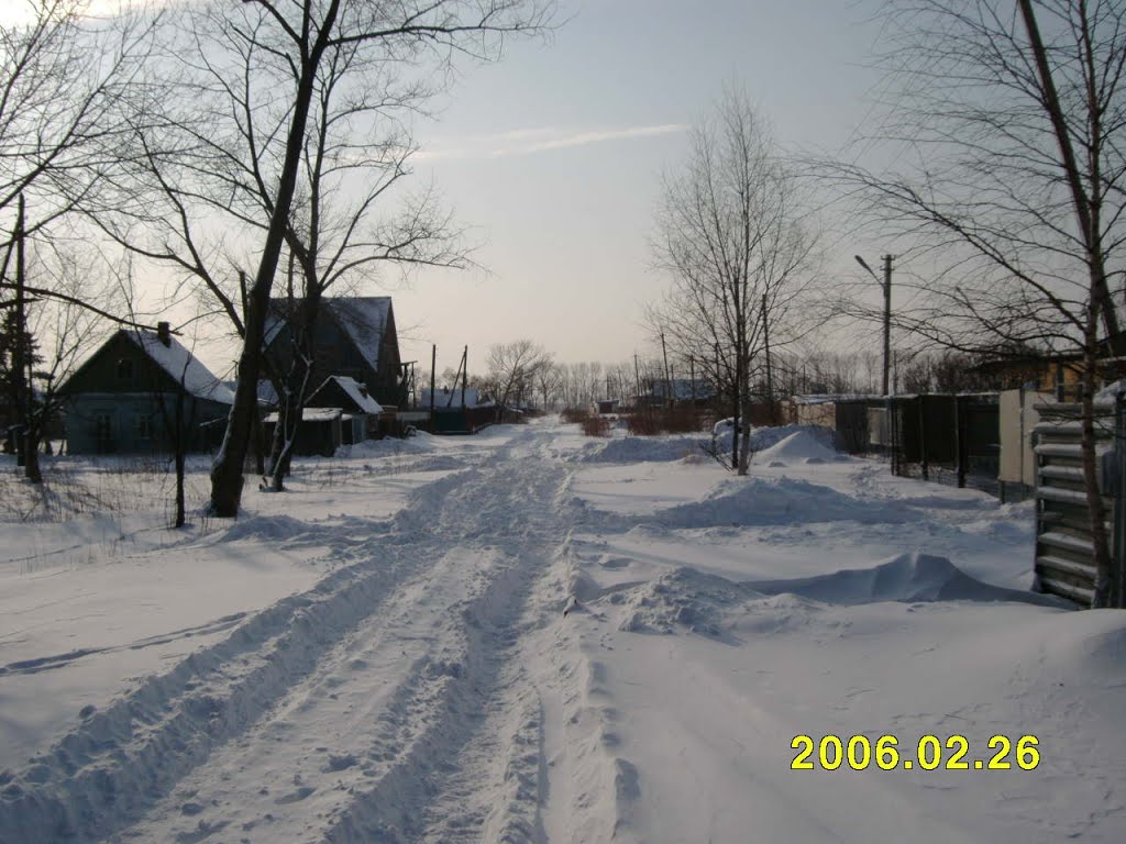 Новгородская 2006, Артем